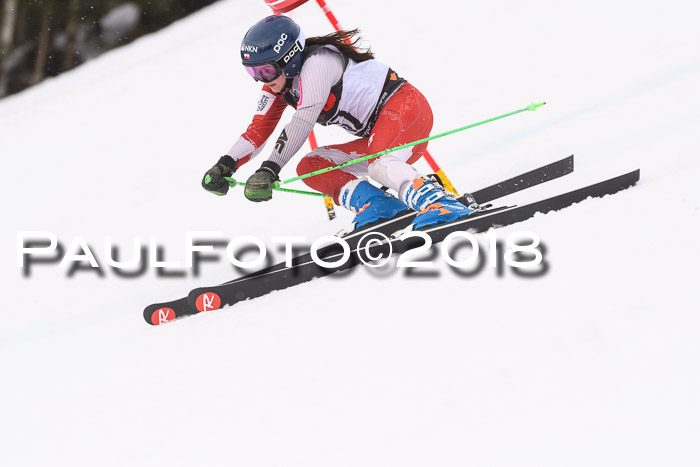 Int. FIS Rennen Damen, RS, Maria Alm 09.01.2018