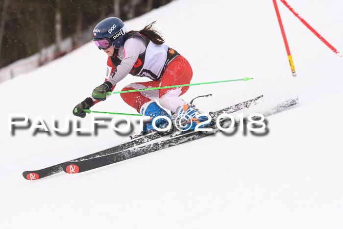 Int. FIS Rennen Damen, RS, Maria Alm 09.01.2018