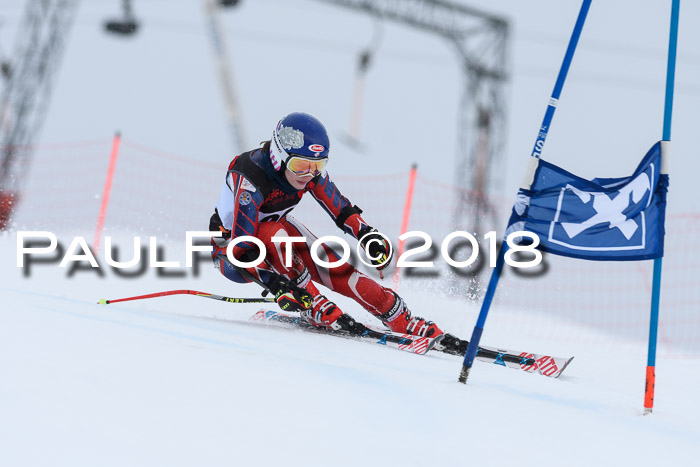 Int. FIS Rennen Damen, RS, Maria Alm 09.01.2018