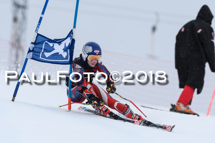 Int. FIS Rennen Damen, RS, Maria Alm 09.01.2018