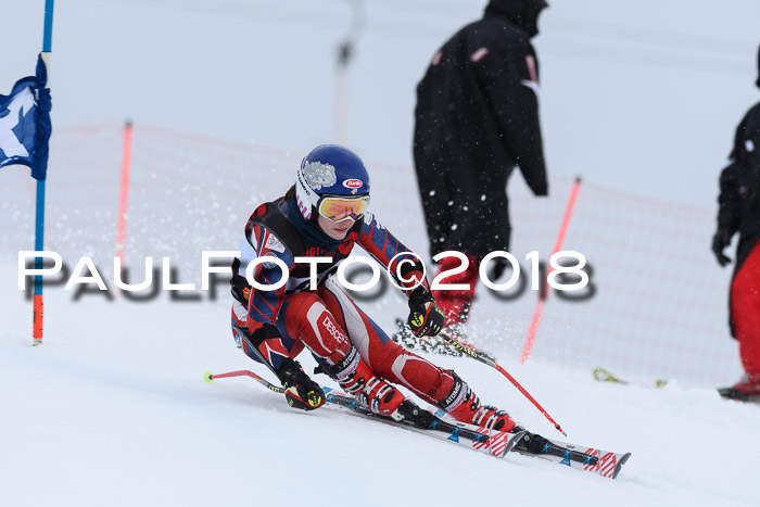 Int. FIS Rennen Damen, RS, Maria Alm 09.01.2018