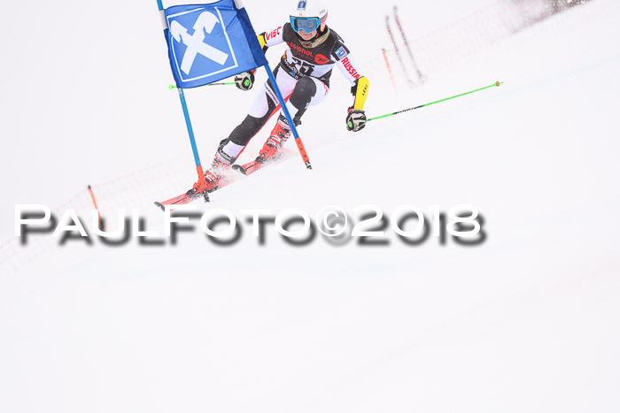Int. FIS Rennen Damen, RS, Maria Alm 09.01.2018