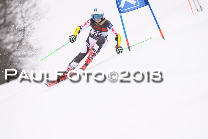 Int. FIS Rennen Damen, RS, Maria Alm 09.01.2018