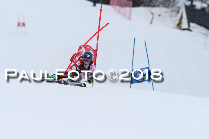 Int. FIS Rennen Damen, RS, Maria Alm 09.01.2018