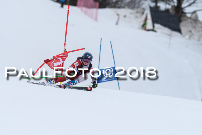 Int. FIS Rennen Damen, RS, Maria Alm 09.01.2018