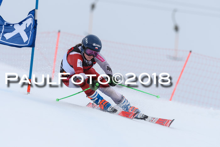 Int. FIS Rennen Damen, RS, Maria Alm 09.01.2018