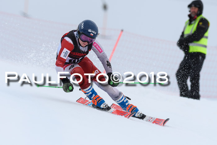 Int. FIS Rennen Damen, RS, Maria Alm 09.01.2018