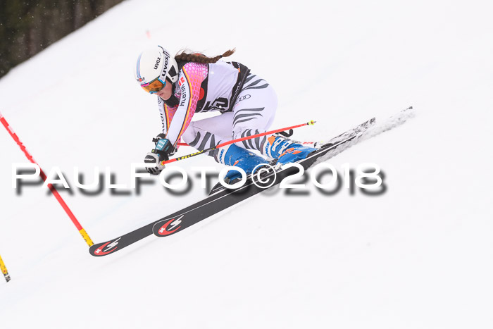 Int. FIS Rennen Damen, RS, Maria Alm 09.01.2018