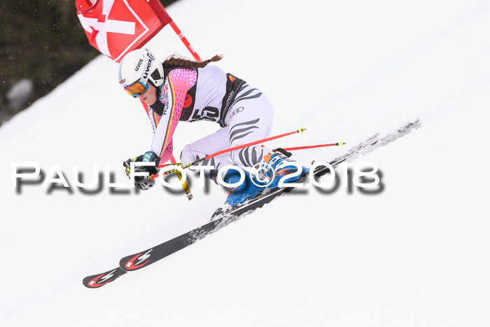 Int. FIS Rennen Damen, RS, Maria Alm 09.01.2018
