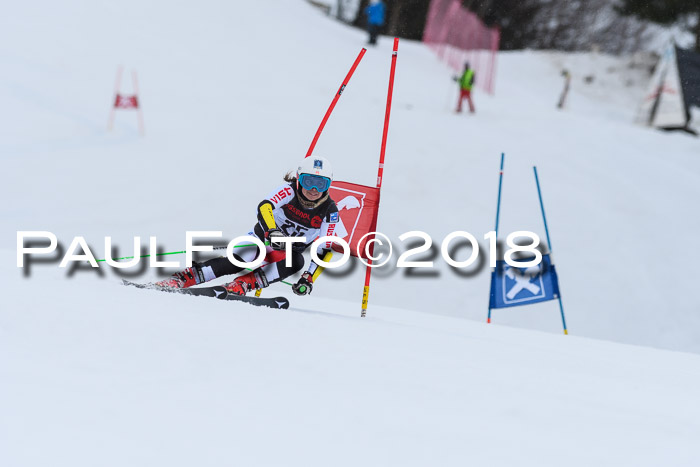 Int. FIS Rennen Damen, RS, Maria Alm 09.01.2018