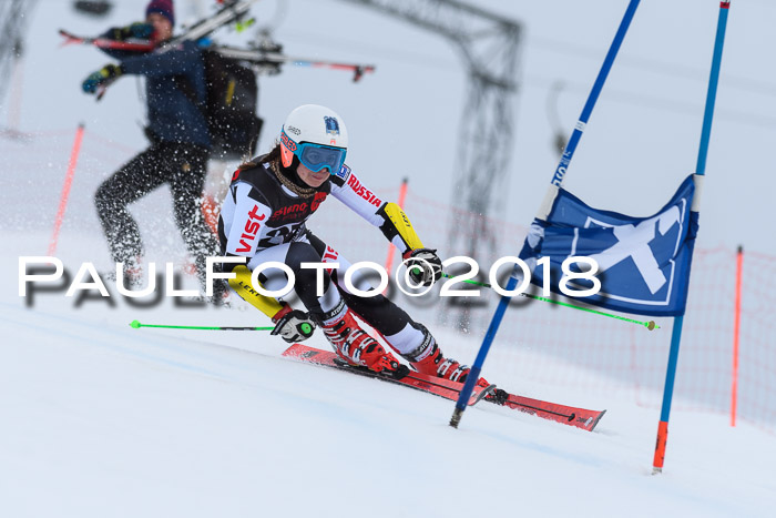 Int. FIS Rennen Damen, RS, Maria Alm 09.01.2018