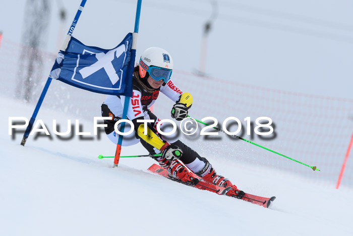 Int. FIS Rennen Damen, RS, Maria Alm 09.01.2018