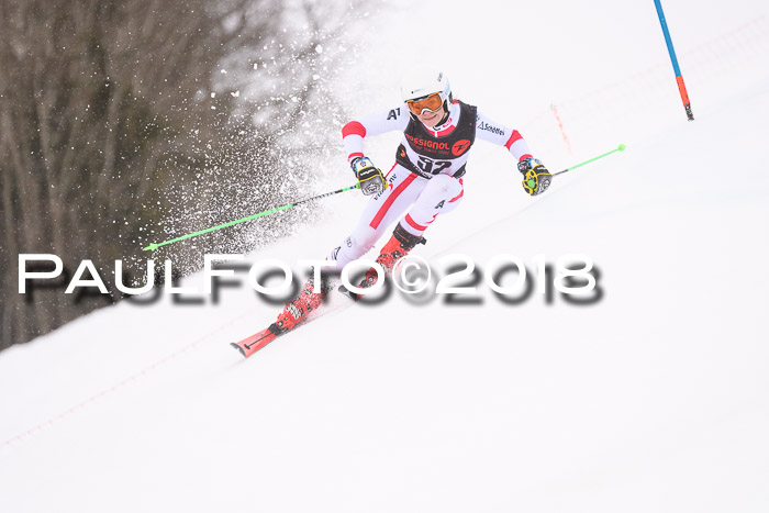 Int. FIS Rennen Damen, RS, Maria Alm 09.01.2018