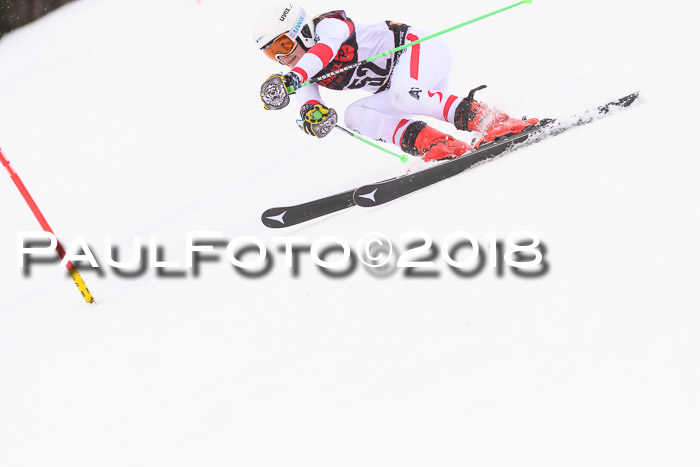 Int. FIS Rennen Damen, RS, Maria Alm 09.01.2018