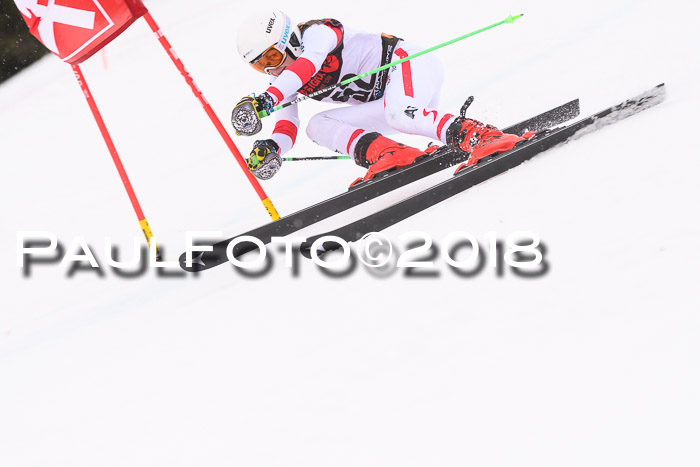 Int. FIS Rennen Damen, RS, Maria Alm 09.01.2018