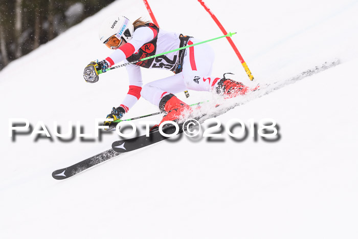 Int. FIS Rennen Damen, RS, Maria Alm 09.01.2018