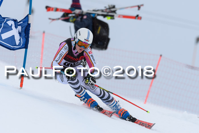 Int. FIS Rennen Damen, RS, Maria Alm 09.01.2018