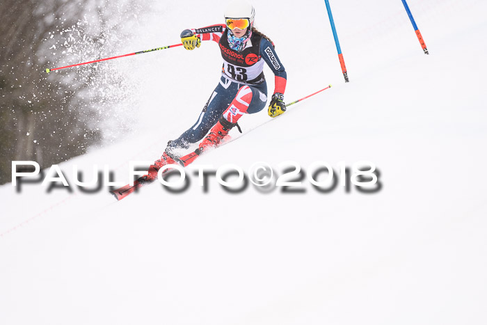 Int. FIS Rennen Damen, RS, Maria Alm 09.01.2018