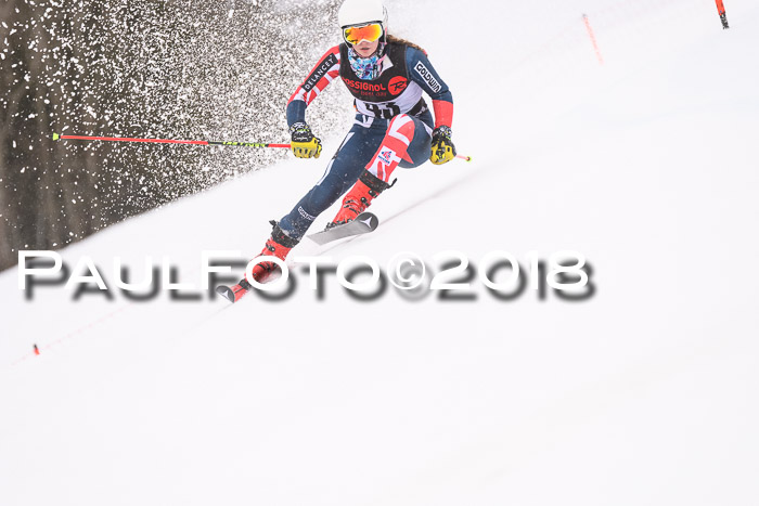 Int. FIS Rennen Damen, RS, Maria Alm 09.01.2018