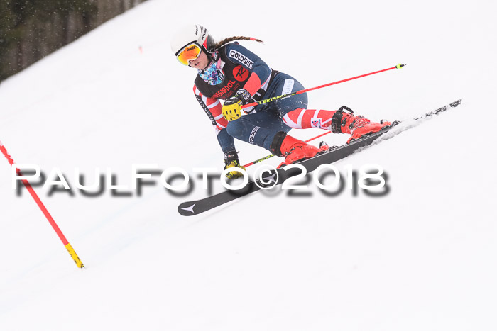 Int. FIS Rennen Damen, RS, Maria Alm 09.01.2018