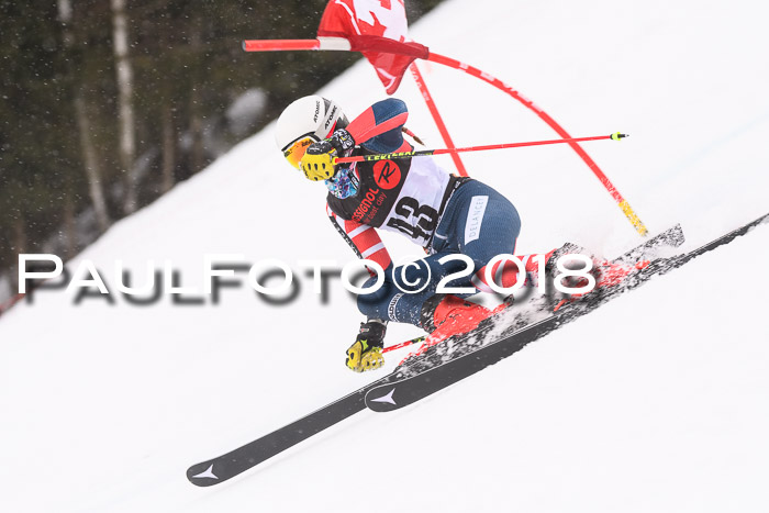 Int. FIS Rennen Damen, RS, Maria Alm 09.01.2018