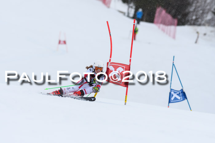 Int. FIS Rennen Damen, RS, Maria Alm 09.01.2018