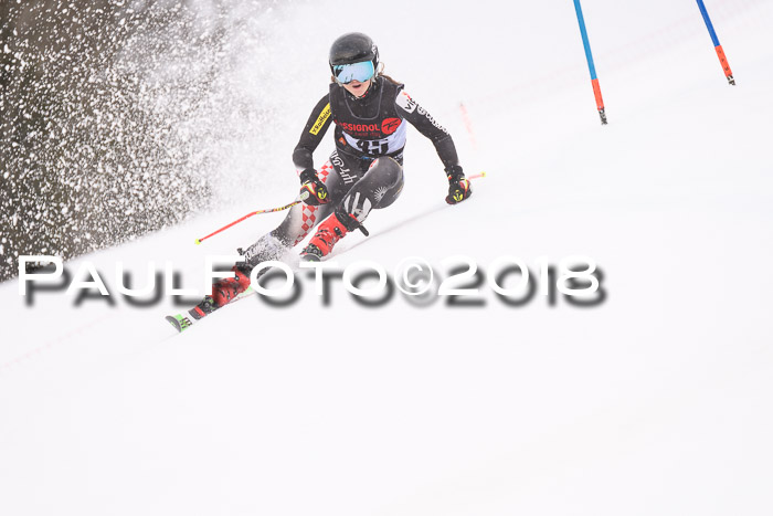 Int. FIS Rennen Damen, RS, Maria Alm 09.01.2018