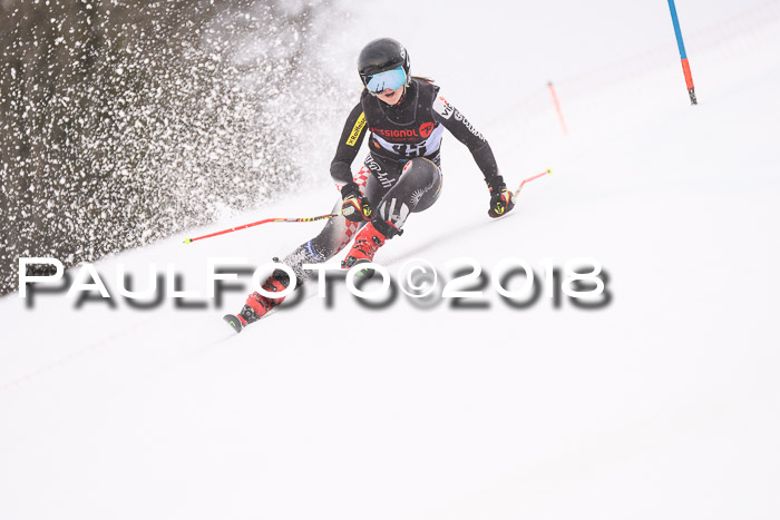 Int. FIS Rennen Damen, RS, Maria Alm 09.01.2018