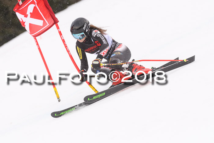 Int. FIS Rennen Damen, RS, Maria Alm 09.01.2018