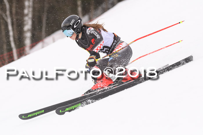 Int. FIS Rennen Damen, RS, Maria Alm 09.01.2018