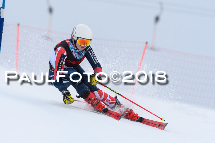 Int. FIS Rennen Damen, RS, Maria Alm 09.01.2018