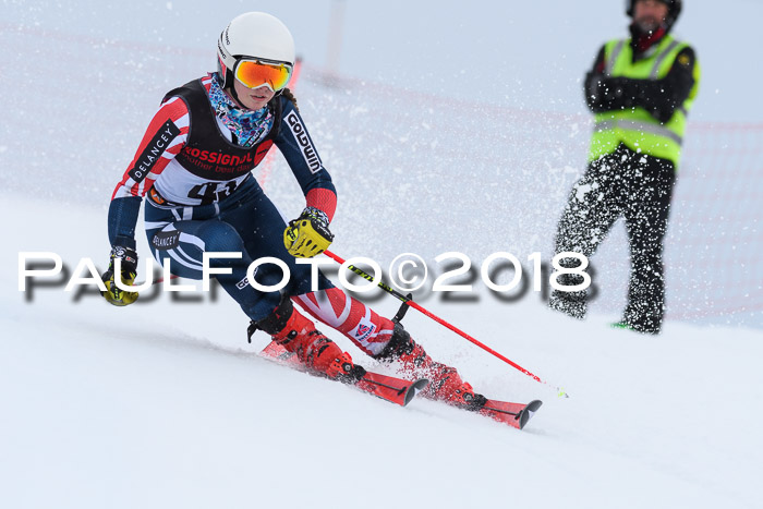 Int. FIS Rennen Damen, RS, Maria Alm 09.01.2018