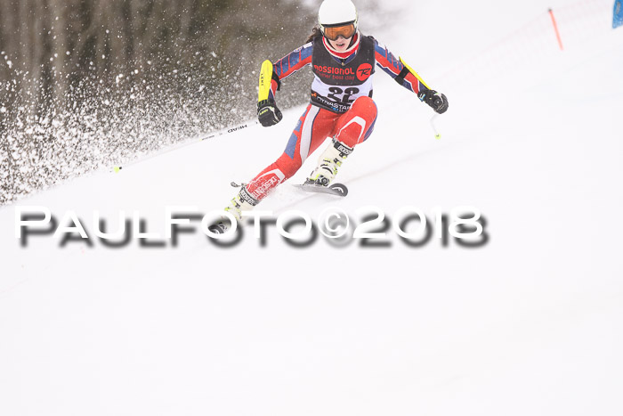 Int. FIS Rennen Damen, RS, Maria Alm 09.01.2018
