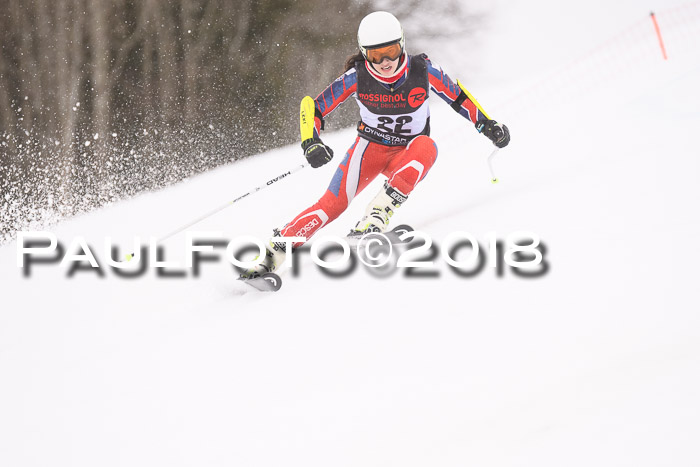 Int. FIS Rennen Damen, RS, Maria Alm 09.01.2018