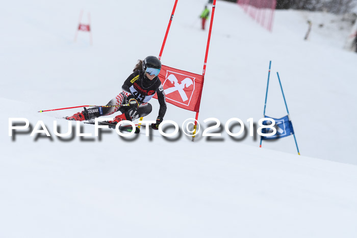 Int. FIS Rennen Damen, RS, Maria Alm 09.01.2018