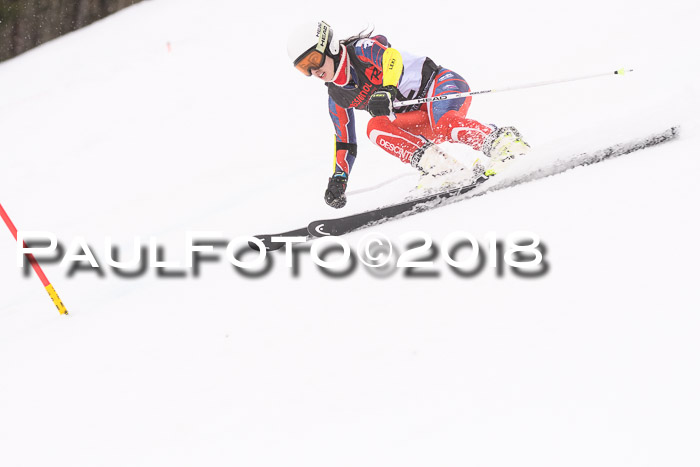 Int. FIS Rennen Damen, RS, Maria Alm 09.01.2018