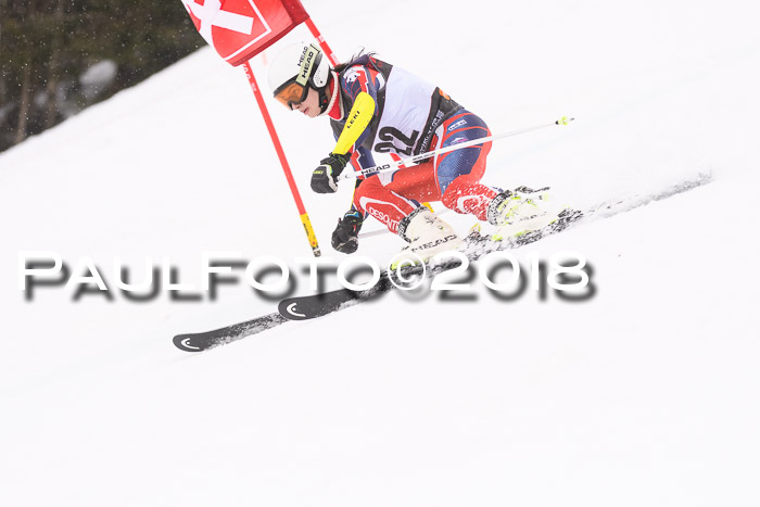 Int. FIS Rennen Damen, RS, Maria Alm 09.01.2018
