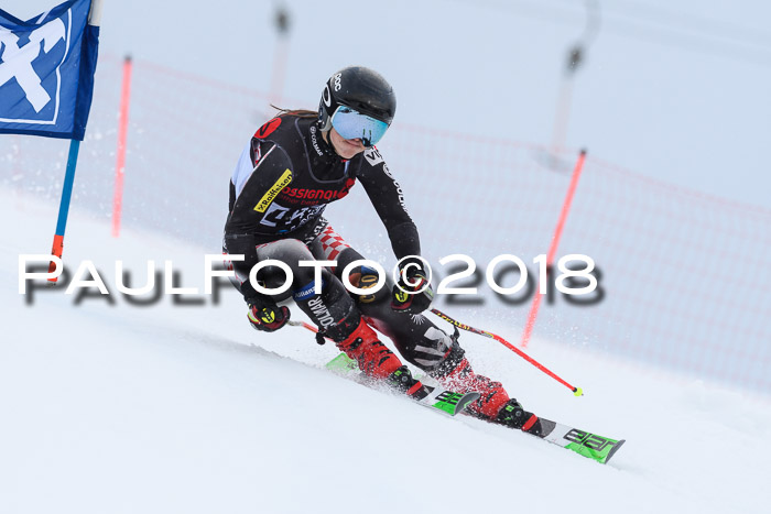 Int. FIS Rennen Damen, RS, Maria Alm 09.01.2018