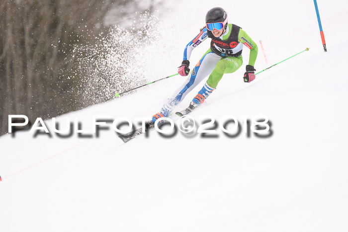 Int. FIS Rennen Damen, RS, Maria Alm 09.01.2018