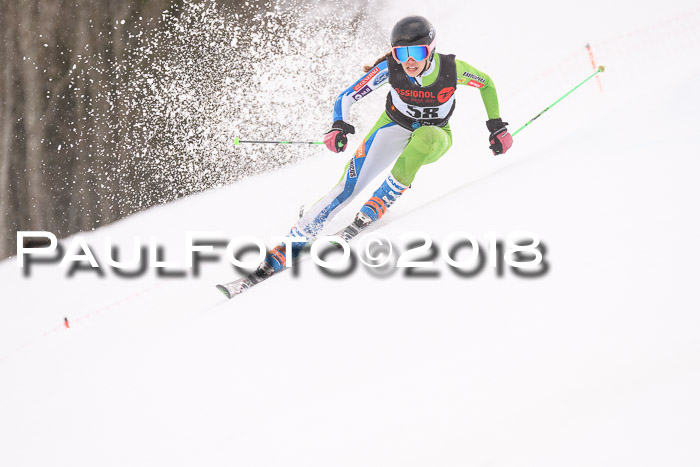 Int. FIS Rennen Damen, RS, Maria Alm 09.01.2018