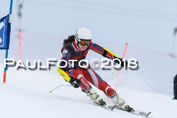 Int. FIS Rennen Damen, RS, Maria Alm 09.01.2018