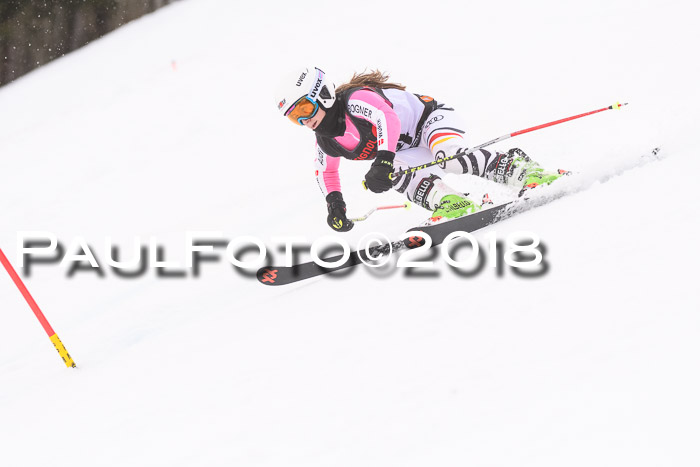 Int. FIS Rennen Damen, RS, Maria Alm 09.01.2018