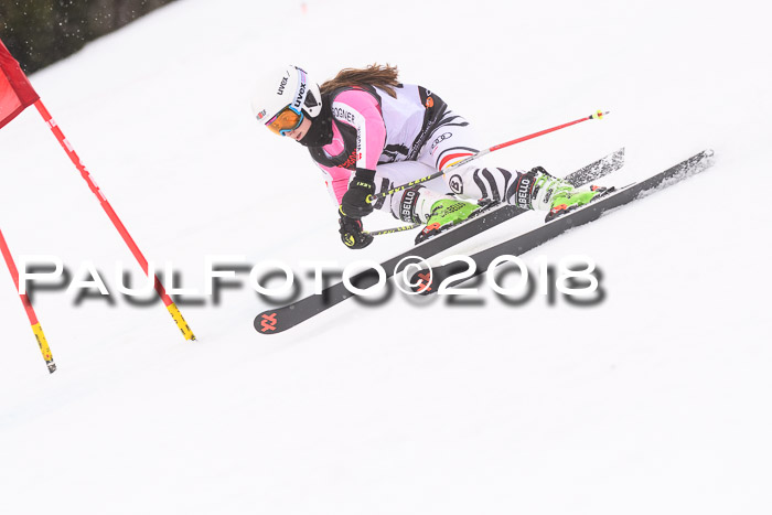 Int. FIS Rennen Damen, RS, Maria Alm 09.01.2018