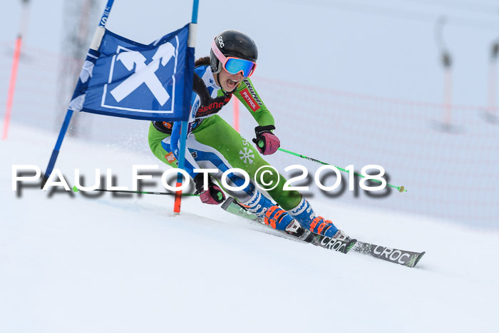 Int. FIS Rennen Damen, RS, Maria Alm 09.01.2018