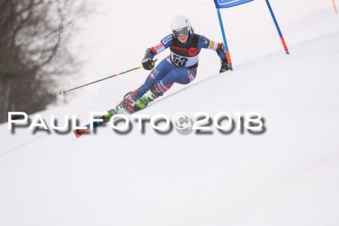 Int. FIS Rennen Damen, RS, Maria Alm 09.01.2018