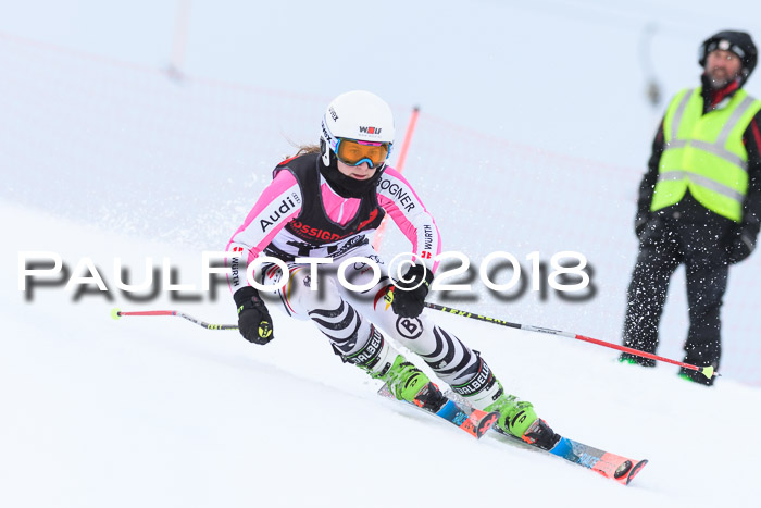 Int. FIS Rennen Damen, RS, Maria Alm 09.01.2018