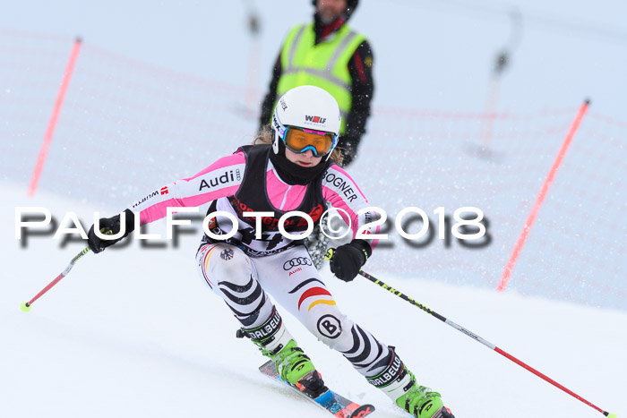 Int. FIS Rennen Damen, RS, Maria Alm 09.01.2018