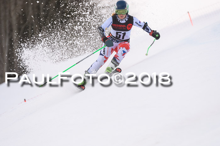 Int. FIS Rennen Damen, RS, Maria Alm 09.01.2018