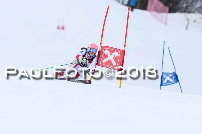 Int. FIS Rennen Damen, RS, Maria Alm 09.01.2018