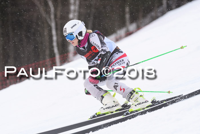 Int. FIS Rennen Damen, RS, Maria Alm 09.01.2018
